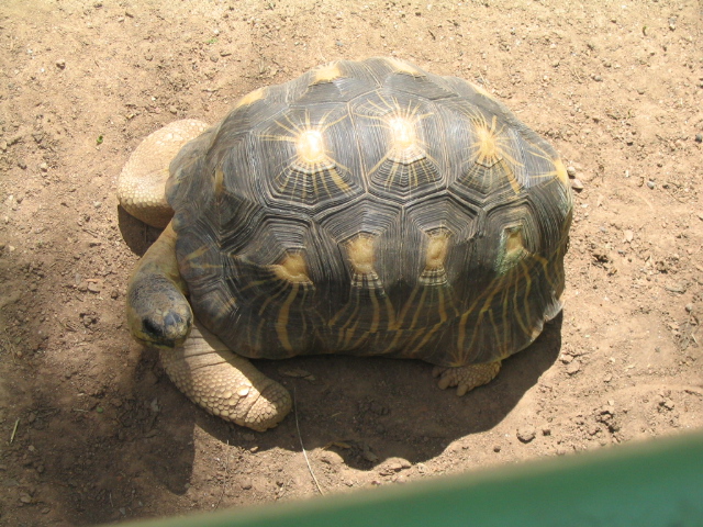 618x457 pixels (228K)